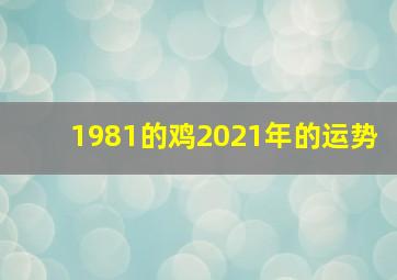 1981的鸡2021年的运势