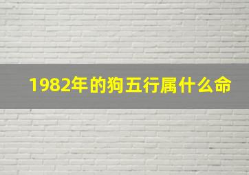 1982年的狗五行属什么命