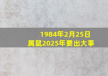 1984年2月25日属鼠2025年要出大事