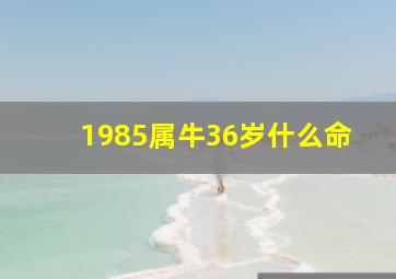 1985属牛36岁什么命