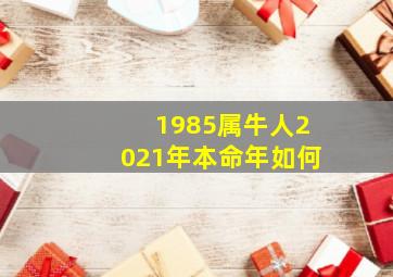 1985属牛人2021年本命年如何