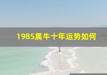 1985属牛十年运势如何