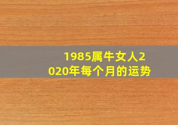 1985属牛女人2020年每个月的运势