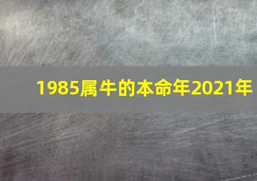 1985属牛的本命年2021年