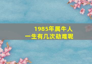 1985年属牛人一生有几次劫难呢