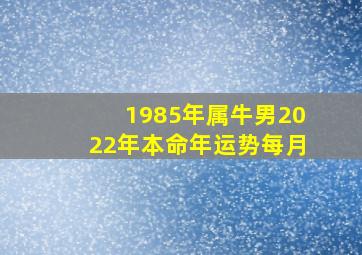 1985年属牛男2022年本命年运势每月