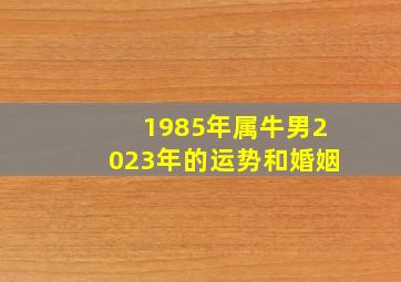 1985年属牛男2023年的运势和婚姻