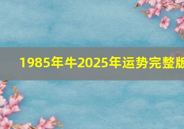 1985年牛2025年运势完整版