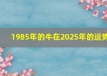 1985年的牛在2025年的运势