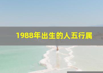 1988年出生的人五行属