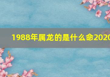 1988年属龙的是什么命2020