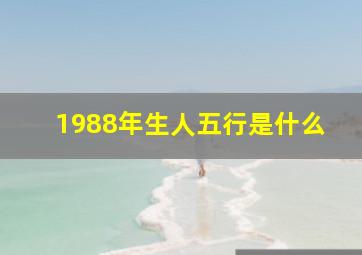 1988年生人五行是什么