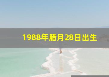 1988年腊月28日出生