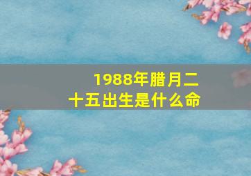 1988年腊月二十五出生是什么命