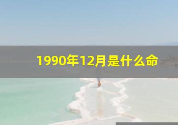 1990年12月是什么命