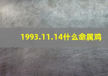 1993.11.14什么命属鸡