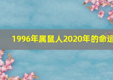 1996年属鼠人2020年的命运