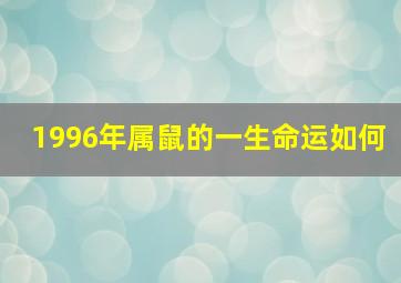 1996年属鼠的一生命运如何