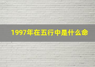 1997年在五行中是什么命