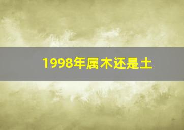 1998年属木还是土