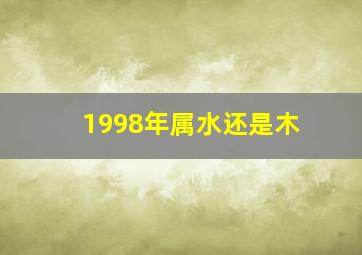 1998年属水还是木