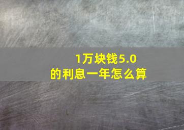 1万块钱5.0的利息一年怎么算