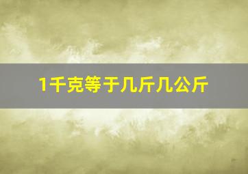 1千克等于几斤几公斤