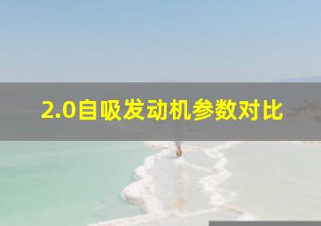 2.0自吸发动机参数对比