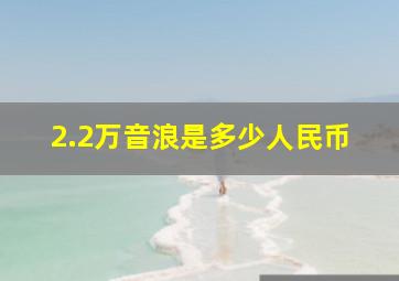 2.2万音浪是多少人民币