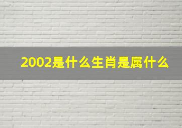 2002是什么生肖是属什么