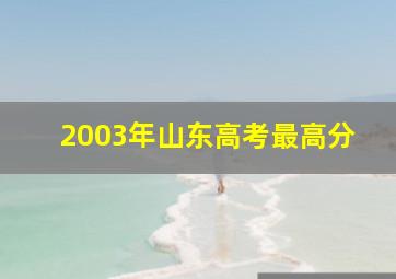 2003年山东高考最高分