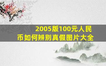 2005版100元人民币如何辨别真假图片大全