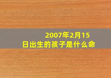 2007年2月15日出生的孩子是什么命