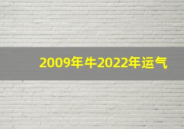 2009年牛2022年运气