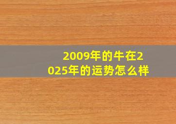 2009年的牛在2025年的运势怎么样