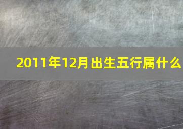 2011年12月出生五行属什么