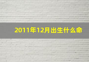 2011年12月出生什么命