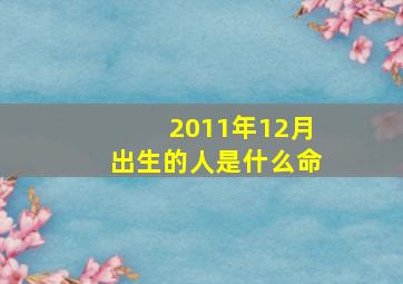 2011年12月出生的人是什么命