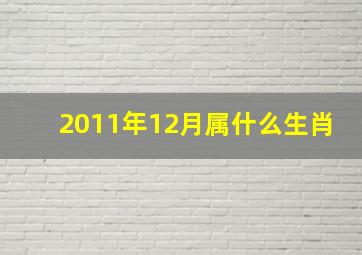 2011年12月属什么生肖