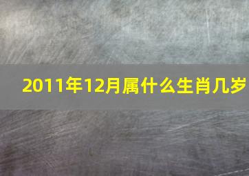 2011年12月属什么生肖几岁