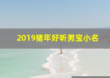 2019猪年好听男宝小名