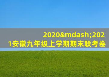 2020—2021安徽九年级上学期期末联考卷