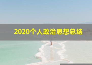 2020个人政治思想总结