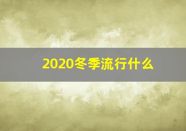 2020冬季流行什么