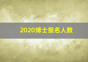 2020博士报名人数