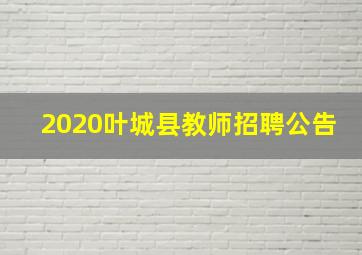 2020叶城县教师招聘公告