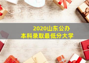 2020山东公办本科录取最低分大学