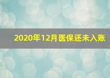 2020年12月医保还未入账