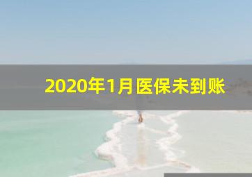 2020年1月医保未到账