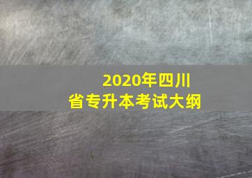 2020年四川省专升本考试大纲